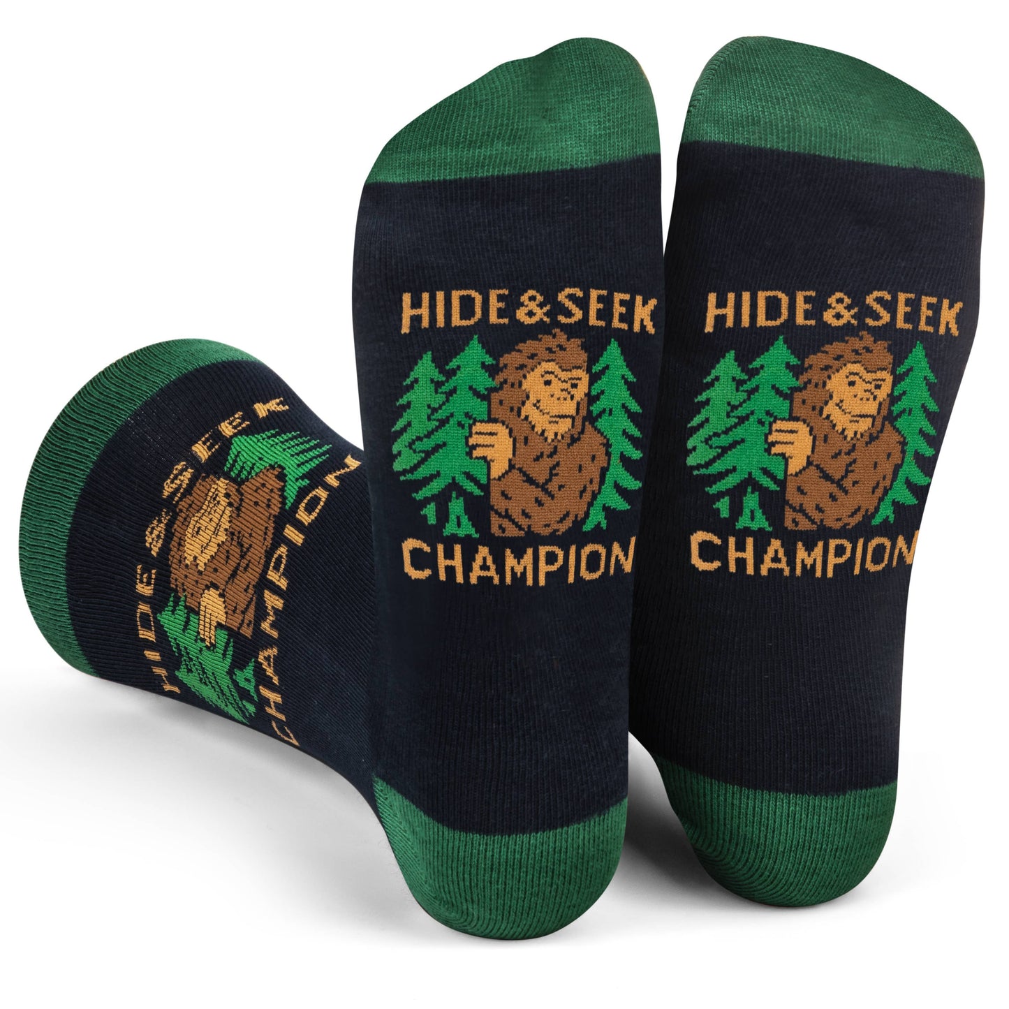 Hide and Seek Champion