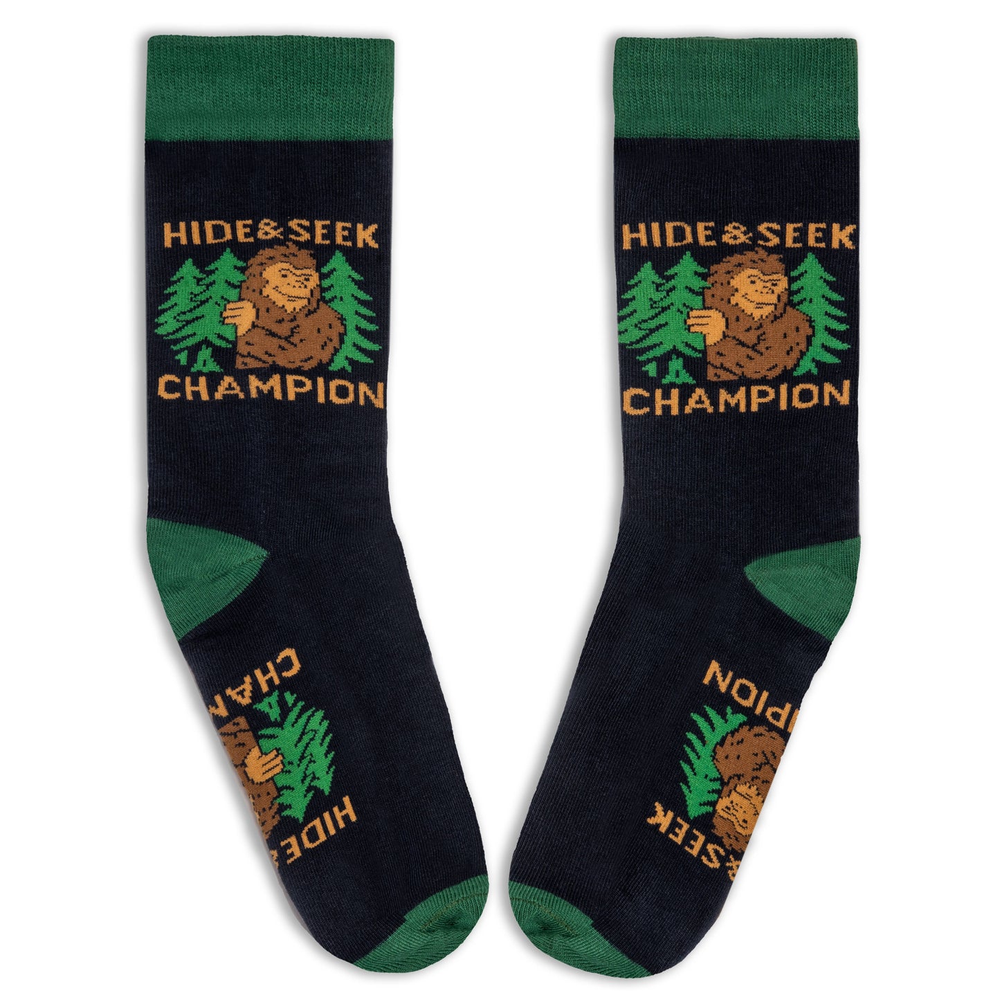 Hide and Seek Champion