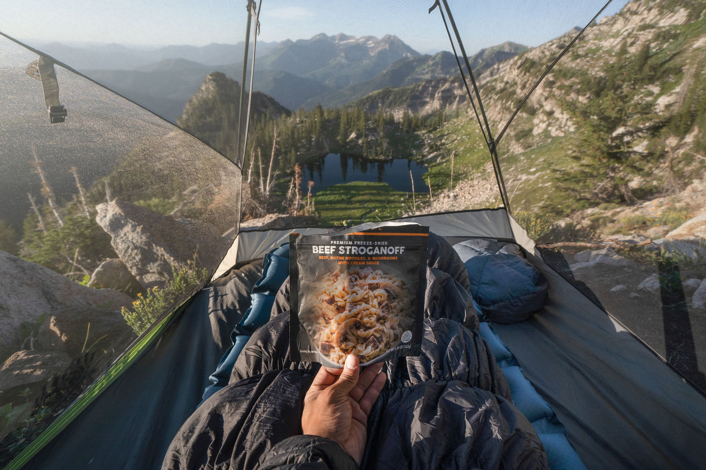 Beef Stroganoff by Peak Refuel