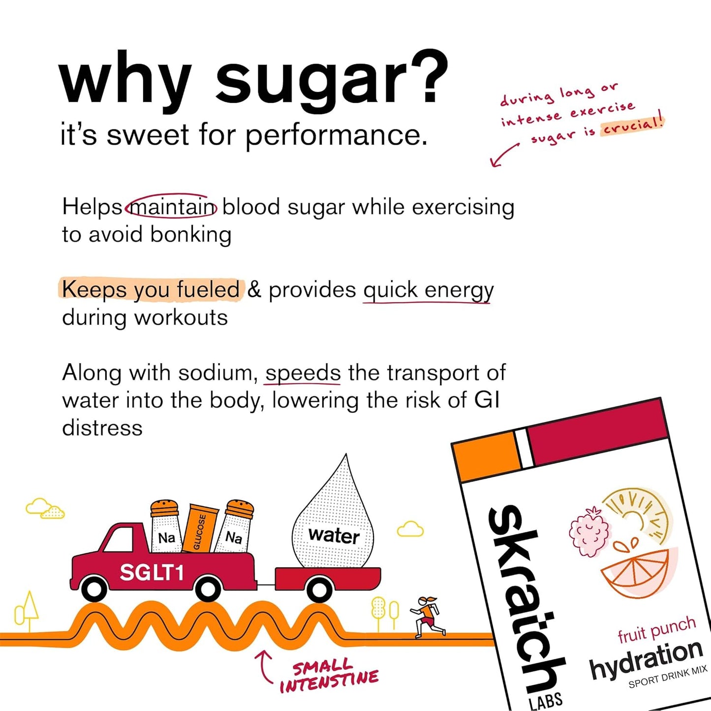 Skratch Hydration Sport Drink Mix 15.5oz Fruit Punch