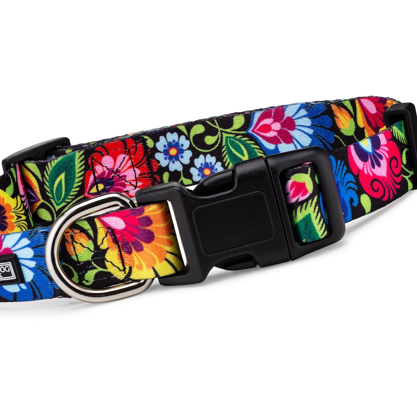 *Blackbird Dog Collar and Leash*