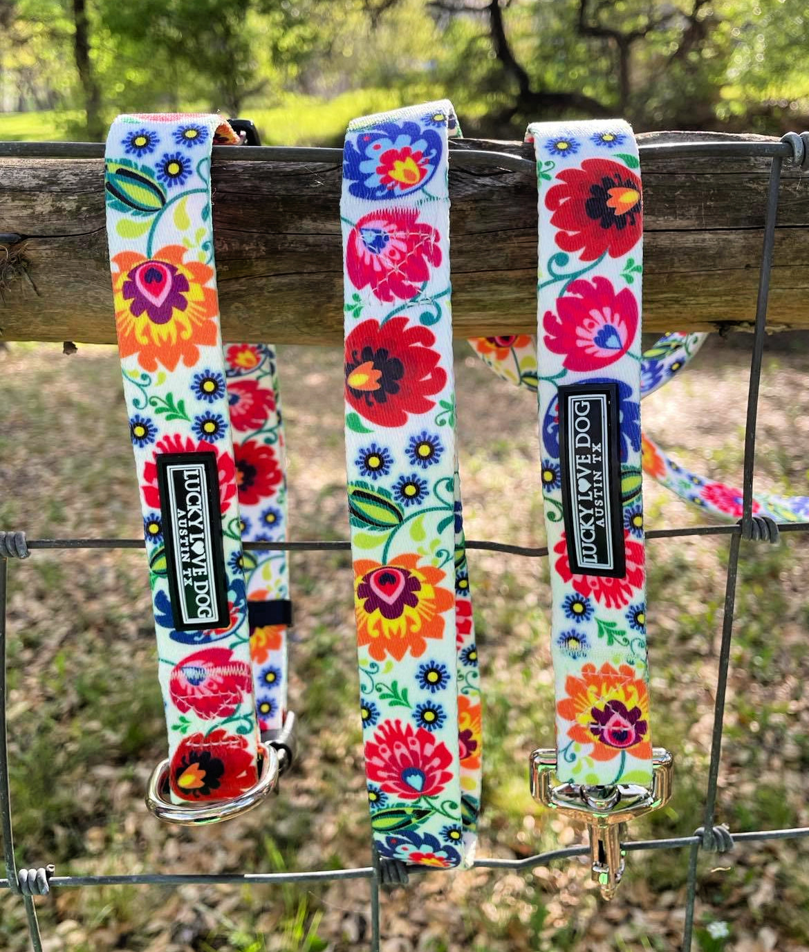 *Ladybird Dog Leash*