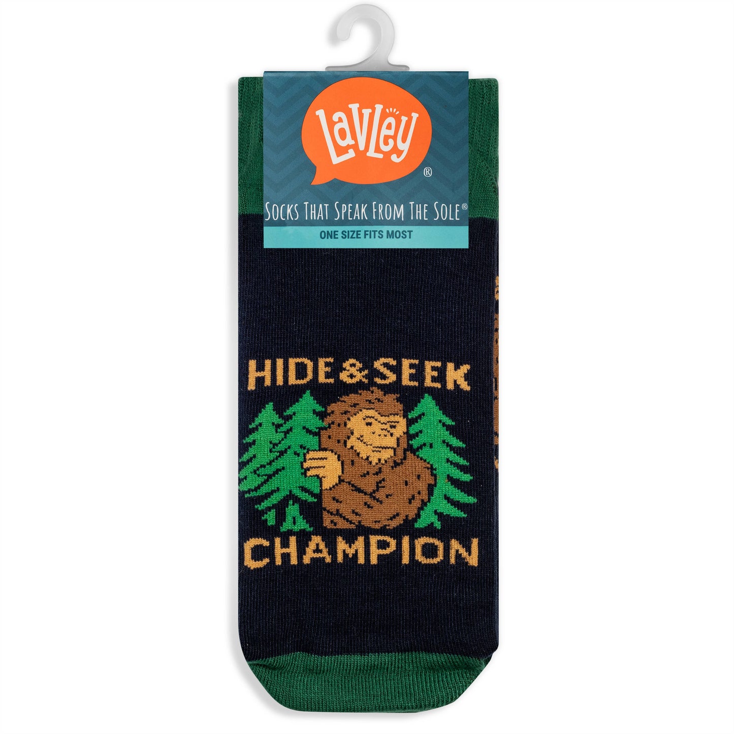 Hide and Seek Champion