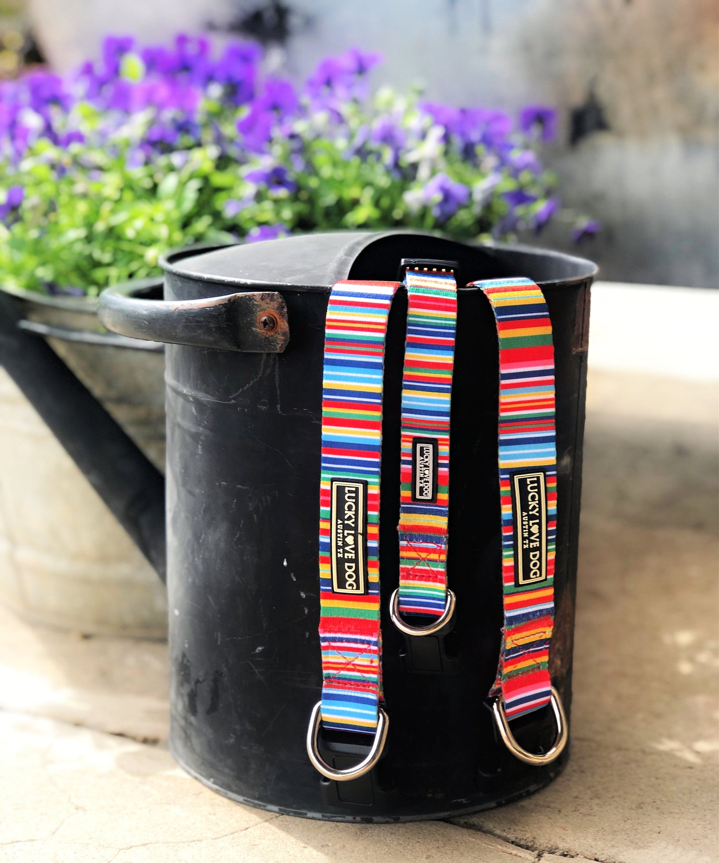 *Hippie Dog Collar and Leash*